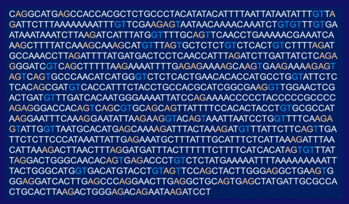 oligonucleotide therapeutics society