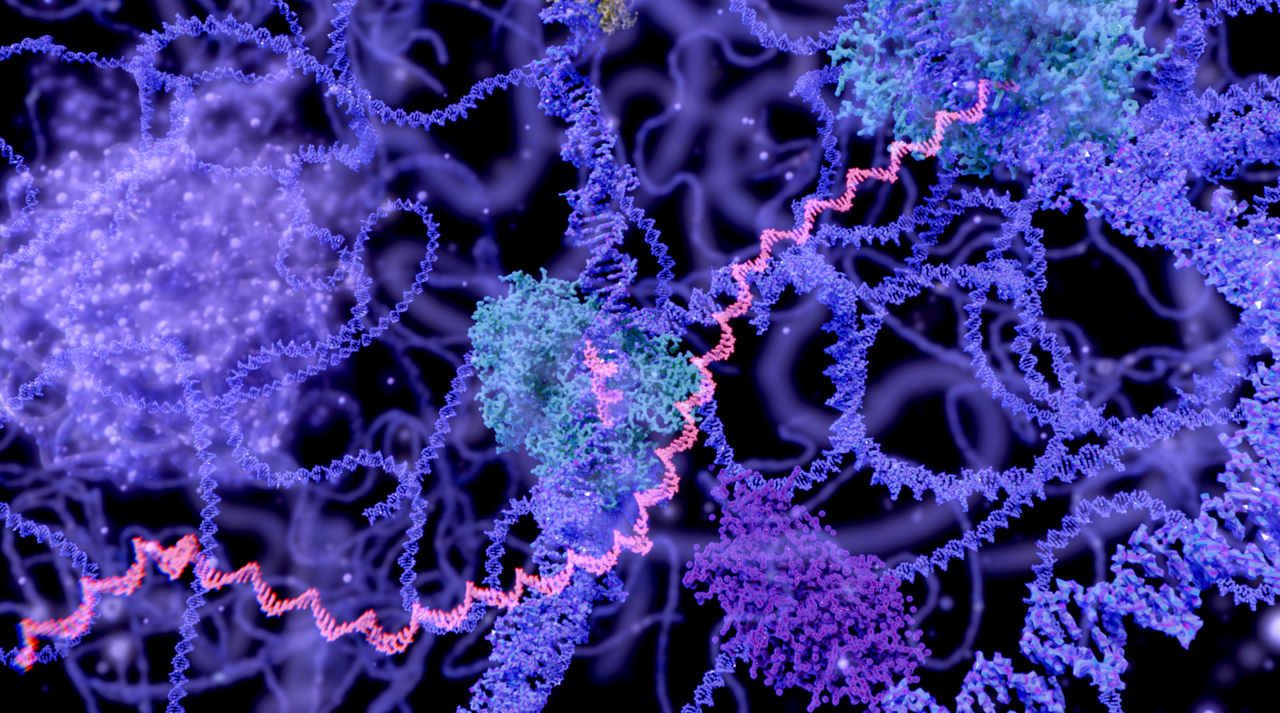 RNA Splicing to Treat Disease