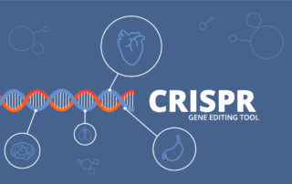 Uses of CRISPR