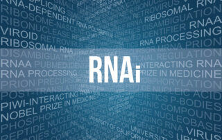RNA Interference in Mammalian Cells