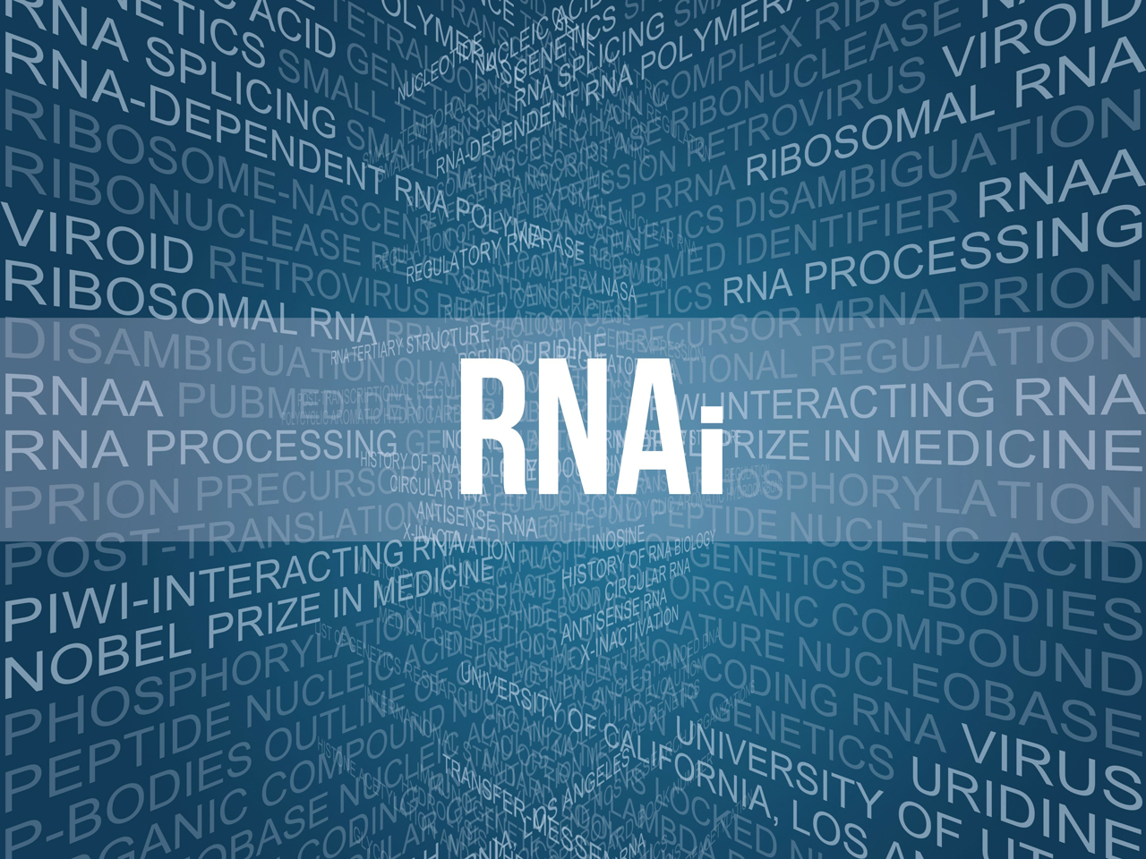 RNA Interference in Mammalian Cells
