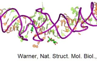 Targeted delivery using aptamers