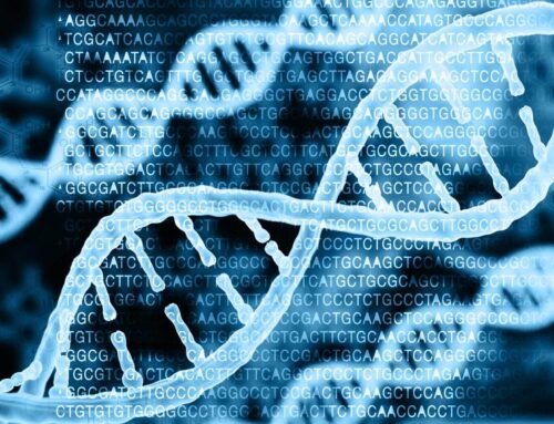 Treating Cardiovascular Disease by Changing a Single Letter of DNA